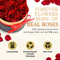 Forever Flowers Lieferung 7-teilige Konservierte Rosen-Box - Unparfümierte Blumen für Jubiläum Valentinstag Geschenke für Mama