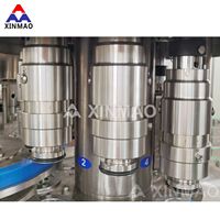 10000BPH 500ML XINMAO Complete Mango Citroen Fruit Sap Afvulmachine