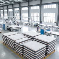 Matelas en mousse à mémoire de forme compressée avec housse en tissu de bambou respirant et antibactérien argenté pour un sommeil optimal