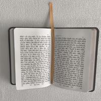 Impression de livre saint de la Bible hébraïque personnalisée avec couverture en cuir à bord doré