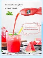 Vente en gros de boissons gazeuses Fan Ta (500 ml) : boissons gazeuses aux fruits, eau gazeuse et boissons exotiques