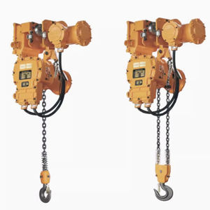 Vendita calda 1T 5Ton 10t monocena paranco elettrico a catena con gancio tipo carrello a prova di esplosione fase di sollevamento paranco elettrico a catena - Product Image 2