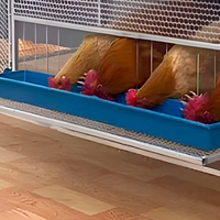 Nouvelle cage galvanisée de type anti-pluie, haute qualité, capacité 15 oiseaux, prix abordable