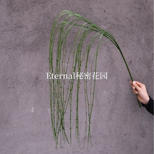 Branche de saule artificielle Secret Garden 120 cm, verte, en plastique souple, pour décoration murale de mariage et de maison - Product Image 3