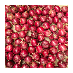Nuove Sementi di <span class=keywords><strong>Cipolla</strong></span> Rossa 10kg, Fornitura dallo Gansu Cina, Cipolle Fresche Pelate - Product Image 3