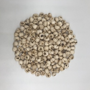 Bulbo de Fritillaria Chuan Seco, Crudo y Natural, Hierba Calmante para los Pulmones, en Rodajas, para Té Herbal Individual, Empaque Personalizado - Product Image 5