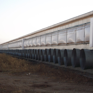 Tenda di raffreddamento del cuscinetto dell'azienda agricola <span class=keywords><strong>della</strong></span> <span class=keywords><strong>mucca</strong></span> del maiale Sunfast di alta qualità - Product Image 1