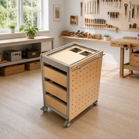 Armoire de rangement roulante sur mesure en profilé aluminium avec bacs pour atelier et salle d'artisanat, vitrine à 3 tiroirs