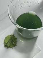 Poudre de feuilles de Pandan 100% naturelle, séchée par pulvérisation, soluble dans l'eau, pour jus de Pandan, idéale pour les lattes et les boissons – Approvisionnement direct usine
