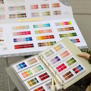 DANNY COLL 260 Couleurs Version Coréenne – <span class=keywords><strong>Kit</strong></span> de Vernis à Ongles <span class=keywords><strong>Gel</strong></span> <span class=keywords><strong>UV</strong></span> Professionnel Longue Durée pour Salon de Manucure – Vente Flash - Product Image 4