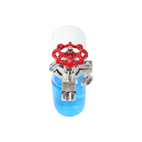Vanne d'échantillonnage manuelle avec flacon d'échantillonnage en acier inoxydable SS304, connexion filetée pour l'industrie chimique et pétrolière