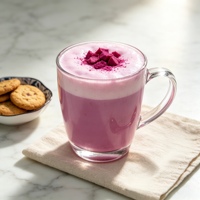 Poudre de jus de pitaya instantanée, soluble dans l'eau, séchée par pulvérisation, poudre de jus de fruit du dragon de qualité alimentaire, sans conservateurs