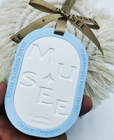 Terre de diatomées aromathérapie vêtements armoire pendentif intérieur étanche à l'humidité déodorant diffuseur pierre