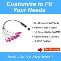 Câble de raccordement MPO/APC à LC/PC 0.9mm 12 fibres | Cordon de raccordement à fibre optique pour centre de données | Connecteurs à fibre optique