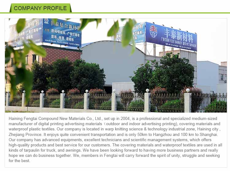 Flex Banner for Advertising PVC Material 440gsm 300D*500D 18*12 Flex Banner Rolls