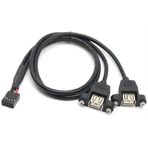 Black 2 x Single USB A Female Panel Mount To 9 pins Housing Cable