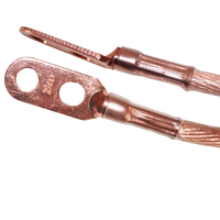 Pince isolée pour câble aérien 16-25 mm² – Kit de câblage de sécurité personnel avec fil de terre en cuivre renforcé de fibre de verre solide