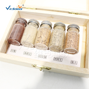 Modelo Anatómico de Muestra de Suelo, Material de PVC, Ciencias Médicas - Product Image 2