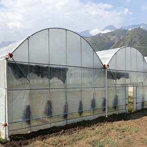 Serra a tunnel monospalla in film <span class=keywords><strong>PO</strong></span>/PE, ideale per la coltivazione di vari tipi di ortaggi, frutta e fiori - Product Image 4