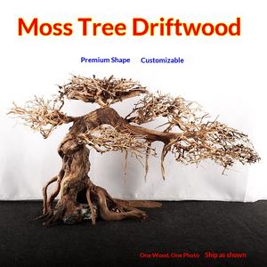 ต้นมอสตกแต่งตู้ปลา ไม้ลอยน้ำ ธรรมชาติ สไตล์คลาสสิก หินกรีนดราก้อน หญ้าโครงกระดูก พืชน้ำ ปะการัง - Product Image 6