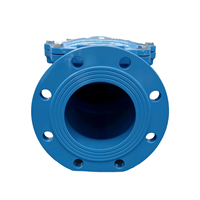 Clapet anti-retour en caoutchouc DN50-DN350, corps en fonte ductile, PN16, clapet EPDM, tige en acier inoxydable 304, norme GB, connexion manuelle par bride pour l'eau