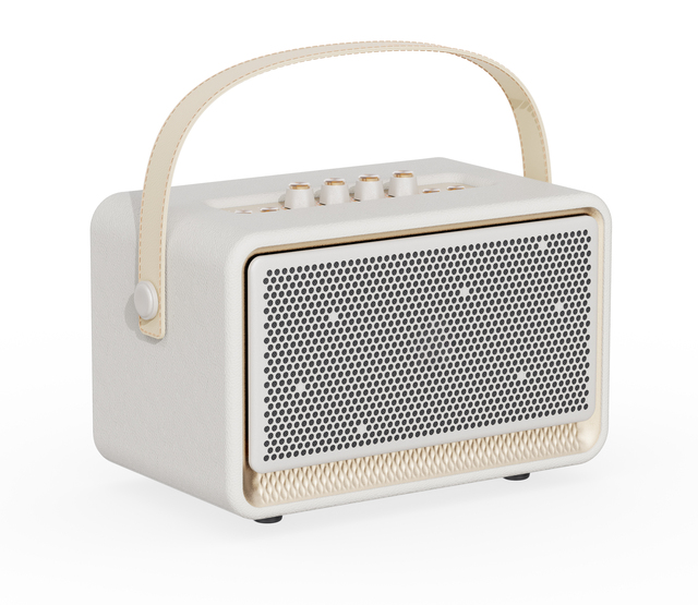 Powerful 70W Portable Bluetooth Speaker with Power Bank Function, Built-in Mic for Conference Call, Outdoor Mono Speaker