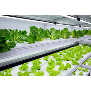 AGG Container Agricolo Verticale da 40 piedi con Telaio in Acciaio per Microgreens, Sistema Idroponico per Coltivazione di Lattuga, Produttore - Product Image 1