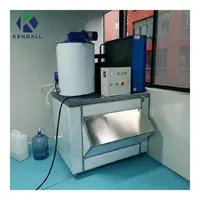 Mini Máquina de Hielo en Escamas, Mejor Precio, Acero Inoxidable con Cámara Fría