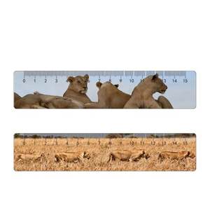 Règle droite portable en acrylique blanc de 30 cm (12 pouces) avec logo personnalisé, idéale pour le bureau, l'école et les cadeaux promotionnels – Nouvelle collection très prisée - Product Image 5