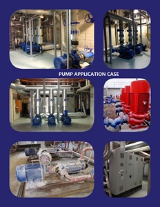Stainless Steel EA EAZ EAD Centrifugal Horizontal Chemical Resistant Transfer Pump - Product Image 5