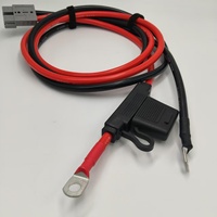 6AWG Suhu Tinggi 200 ° Kabel Sambungan Baterai C dengan Tempat Sekring Inline dan Konektor Cepat 2-Pin untuk ESS