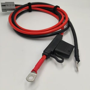 6AWG Haute Température 200 ° Câble de connexion de batterie avec porte-fusible intégré et connecteur rapide à 2 broches pour ESS - Product Image 5