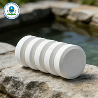 Tablettes Stabilisées pour Piscine à Libération Lente, Enregistrées EPA, Conteneur, Stock US, Multi-tailles, Vente en Gros et au Détail