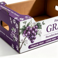 Boîte en carton ondulé pour fraises fraîches OEM ODM, boîte d'emballage pour fruits personnalisée avec trou de transport