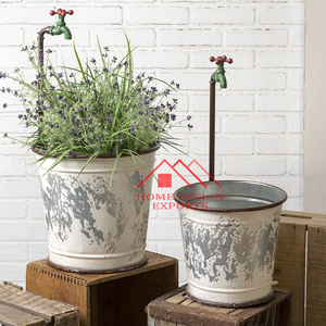 <span class=keywords><strong>2025</strong></span> Cổ Điển Trang Trại Mộc Mạc Mạ Kẽm Sắt Vườn Trồng Cho Trong Nhà & Ngoài Trời Trang Trí Nội Thất Thiết Kế Độc Đáo Sàn Sắt Trồng - Product Image 3