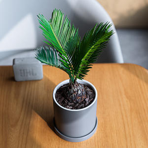 Mini plante verte artificielle Cc 2024 avec <span class=keywords><strong>pot</strong></span> <span class=keywords><strong>en</strong></span> céramique, plante décorative pour bureau, hôtel, restaurant, 037 - Product Image 3