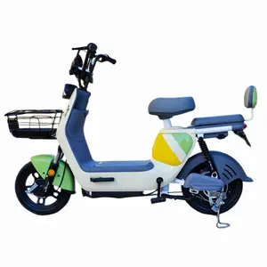 Eu Kho Kho 350W 750W Xe Đạp Điện 48V 14Ah Điện Lai Xe Đạp Cho Người Lớn Xe Máy Ebike