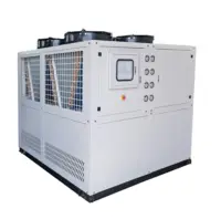 Enfriador de glicol refrigerado por aire de 80 KW y 100 KW, máquina pasteurizadora de tanque aséptico de leche y zumo