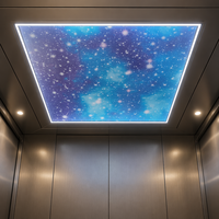 Panneau de plafond professionnel en métal pour cabine d'ascenseur, à lumière d'ambiance diamantée, économe en énergie, pour usage résidentiel