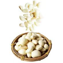Most Popular Equipment Peeling Machine Garlic Industrial Motorized Garlic Peeler - Product Image 3