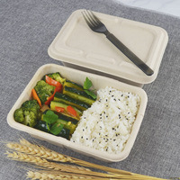 Contenant alimentaire jetable biodégradable en pulpe de canne à sucre, boîte à lunch, bento écologique, pour chewing-gum et chips de pommes de terre