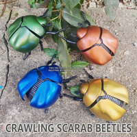 Jouet à remonter en forme de coccinelle, jouet animal de simulation amusant et créatif, petit jouet anti-stress en forme de scarabée
