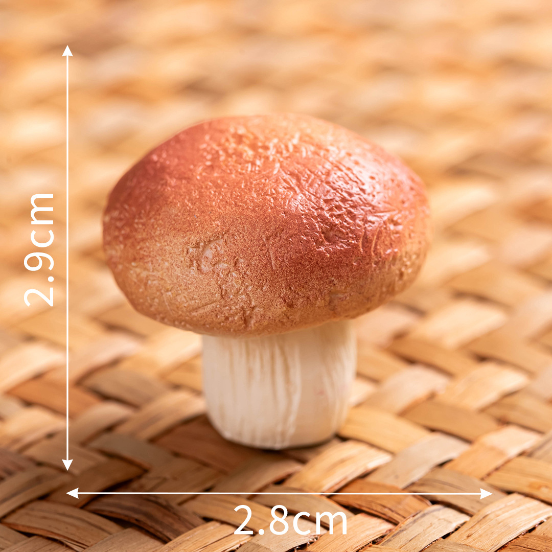 Champignon shiitake n°13