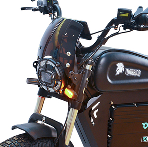 จักรยานไฟฟ้าทรงนักรบสีดำมอเตอร์ไซค์ไฟฟ้าจากประเทศจีน - Product Image 6