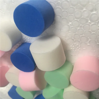 10 pièces ANT ferme bouchons ANT ferme Tube à essai éponge bouchon outil accessoires Tube à essai bouchon alimentation bleu 15mm 18mm bouchon ANT Habitat