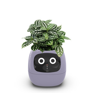 <span class=keywords><strong>Pot</strong></span> de fleurs intelligent à absorption automatique par diode électroluminescente, capteur IA, en plastique numérique, pour bureau ou suspendu, avec décoration lumineuse Lvy - Product Image 5