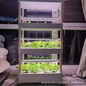 Systèmes de culture hydroponique verticaux pour jardin intérieur, éclairage de culture domestique, en vente - Product Image 3