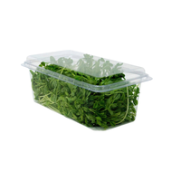 Boîte d'emballage en plastique transparent pour légumes frais, pour la laitue, le chou frisé, les concombres, les épinards, les choux de Bruxelles, les tomates, les poivrons, les herbes