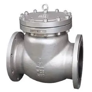 Flanged Carbon Steel Swing Check Valve