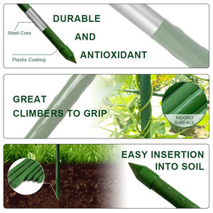 دعامات نباتات للحدائق بطول 16 بوصة، دعامات فردية لساق النباتات والزهور - Product Image 4